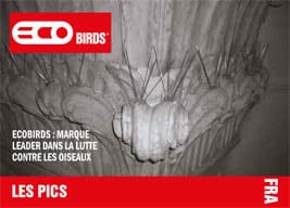 ECOBIRDS,Leading Brand in Bird Control and Removal,Pest control,Pigeons - Brochure