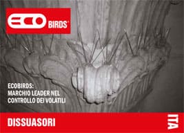 ECOBIRDS,Leading Brand in Bird Control and Removal,Pest control,Pigeons - Brochure