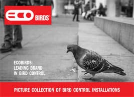 ECOBIRDS,Leading Brand in Bird Control and Removal,Pest control,Pigeons - Brochure