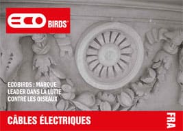 ECOBIRDS,Leading Brand in Bird Control and Removal,Pest control,Pigeons - Brochure